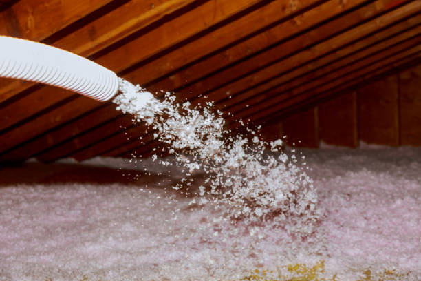 Best Basement Insulation  in Nashua, NH